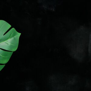 cloud_800_black_2_round